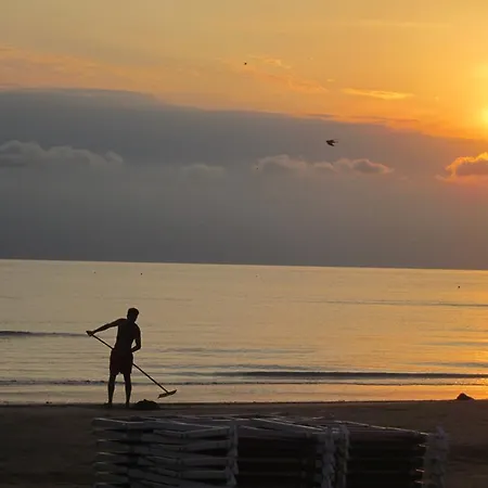 호텔 Hamburg 세니갈리아